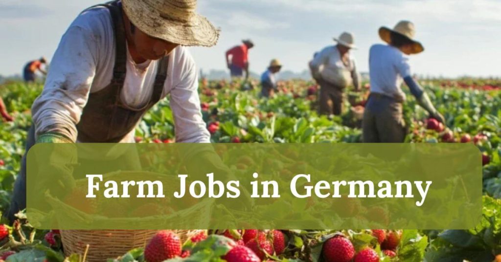 Farm Jobs in Germany