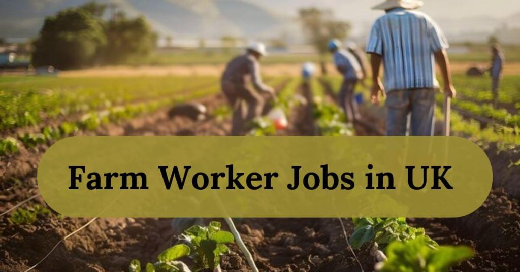 Farm Worker Jobs in UK