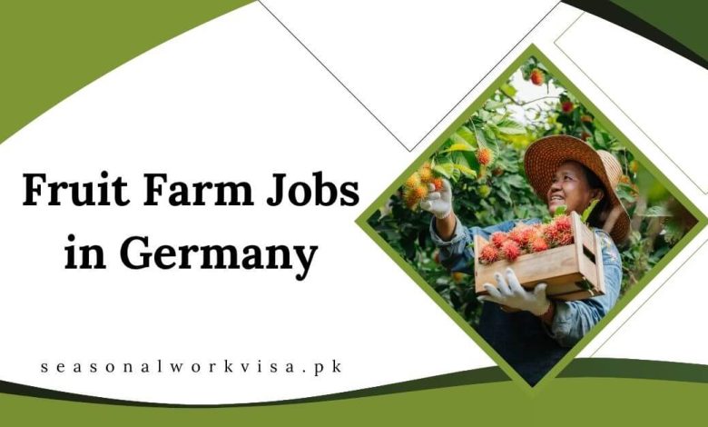 Fruit Farm Jobs in Germany