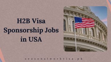 H2B Visa Sponsorship Jobs in USA 2025 - Apply Now 4 H2B Visa Sponsorship Jobs in USA