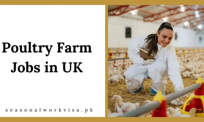 Poultry Farm Jobs in UK