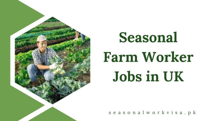 Seasonal Farm Worker Jobs in UK