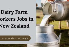 Dairy Farm Workers Jobs in New Zealand