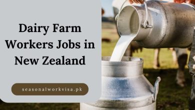 Dairy Farm Workers Jobs in New Zealand