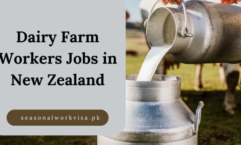 Dairy Farm Workers Jobs in New Zealand