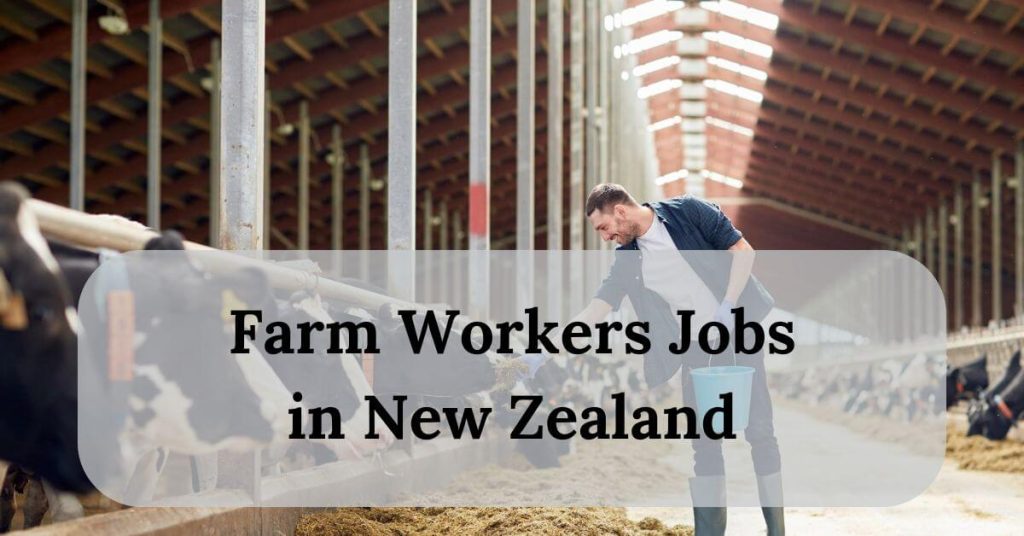 Farm Workers Jobs in New Zealand