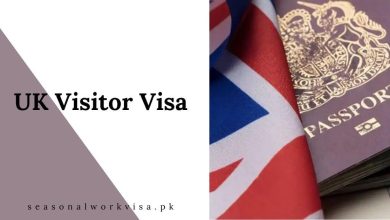 UK Visitor Visa