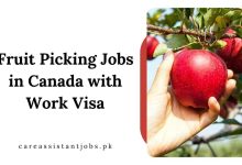 Fruit Picking Jobs in Canada with Work Visa