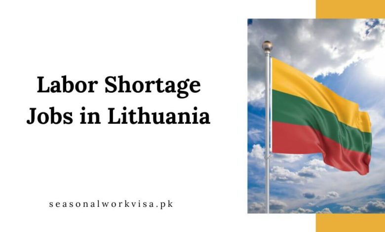 Labor Shortage Jobs in Lithuania