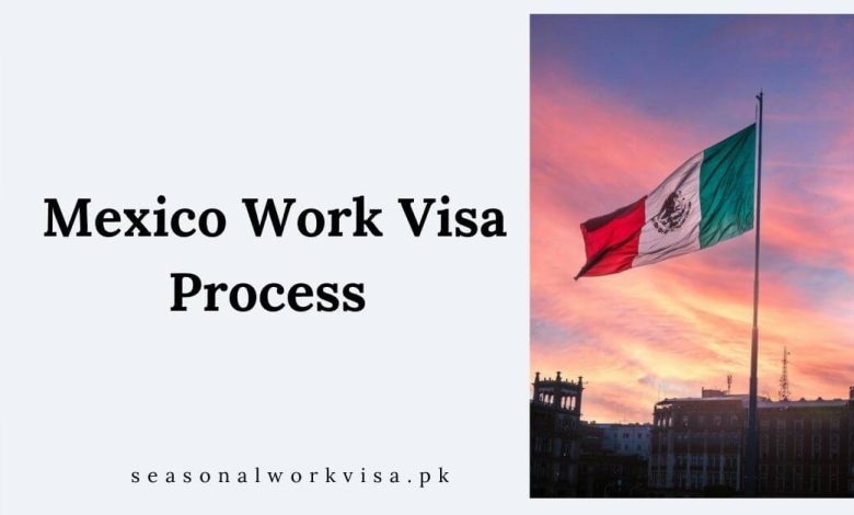 Mexico Work Visa Process