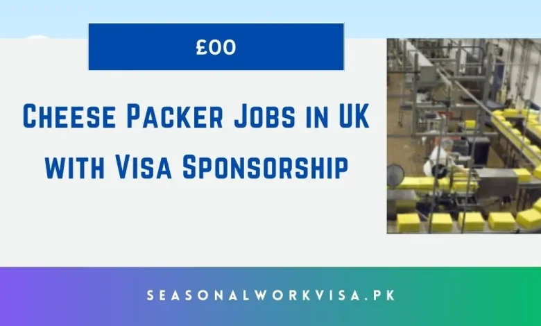 Cheese Packer Jobs in UK