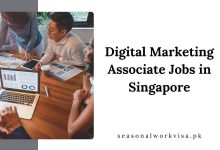 Digital Marketing Associate Jobs in Singapore