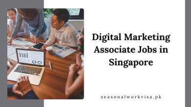 Digital Marketing Associate Jobs in Singapore