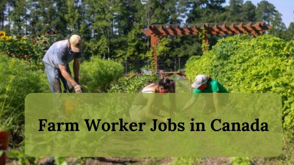 Farm Worker Jobs in Canada