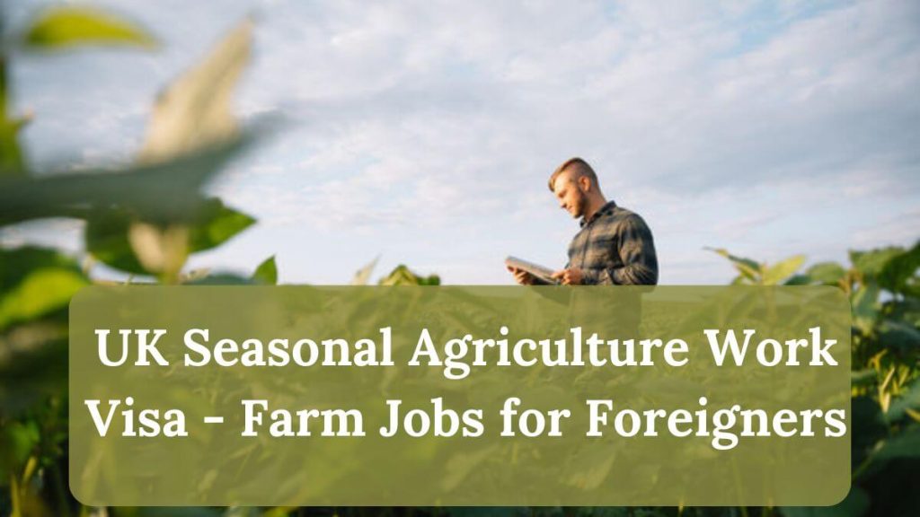 UK Seasonal Agriculture Work Visa - Farm Jobs for Foreigners