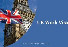 UK Work Visa