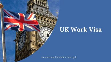 UK Work Visa