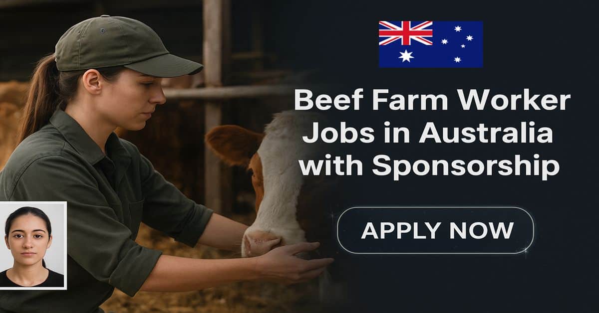 Beef Farm Worker Jobs in Australia with Sponsorship 2025 1 Beef Farm Worker Jobs in Australia with Sponsorship