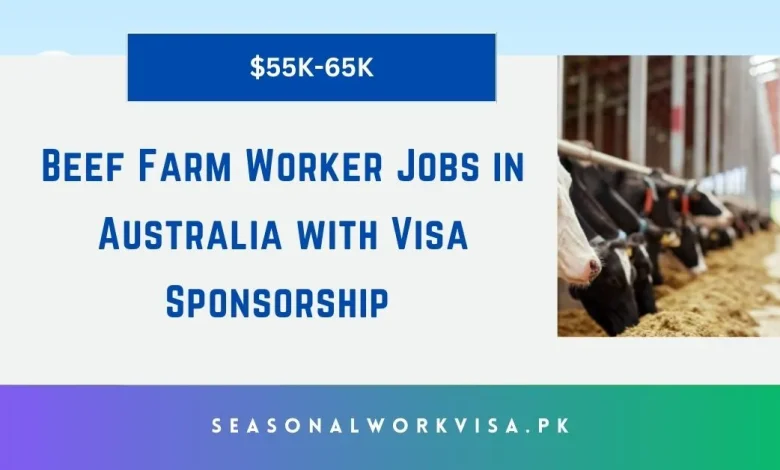 Beef Farm Worker Jobs in Australia with Visa Sponsorship 1 Beef Farm Worker Jobs in Australia