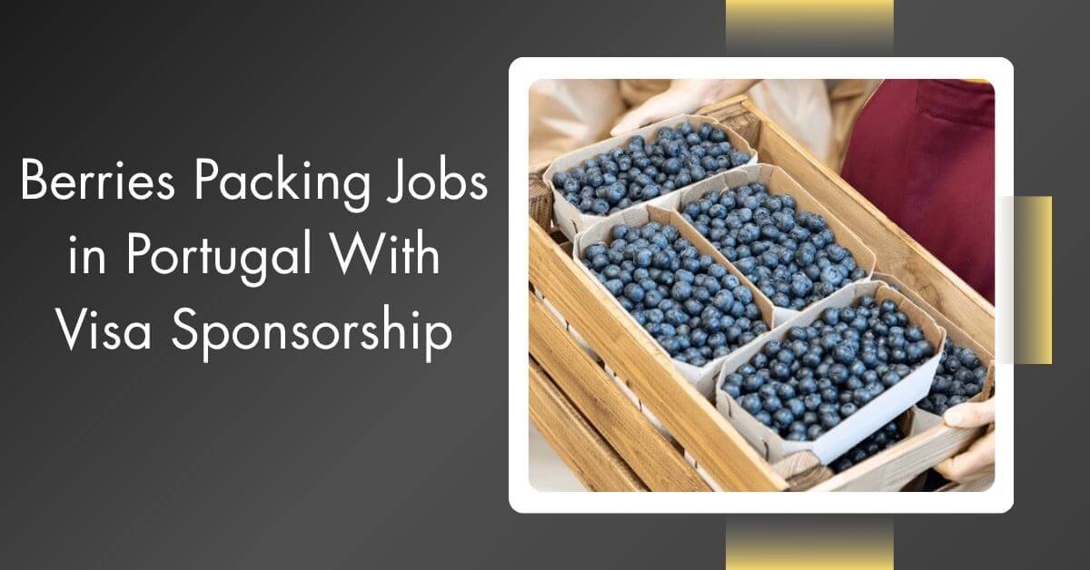 Berries Packing Jobs in Portugal With Visa Sponsorship 1 Berries Packing Jobs in Portugal With Visa Sponsorship