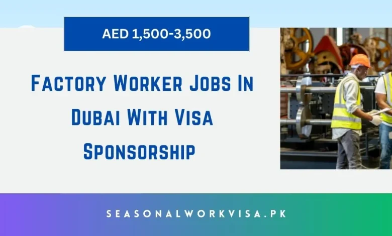 Factory Worker Jobs In Dubai 