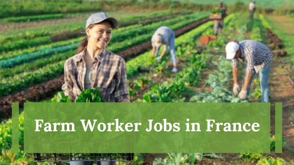 Visa Sponsorship Farm Worker Jobs in France 2025 - Apply Now 2 Farm Worker Jobs in France