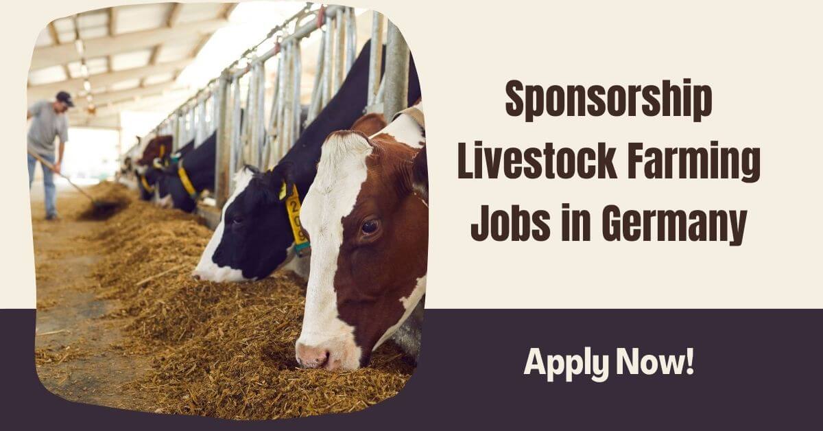 Sponsorship Livestock Farming Jobs in Germany 2025 1 Sponsorship Livestock Farming Jobs in Germany
