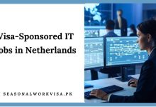 Visa-Sponsored IT Jobs in Netherlands