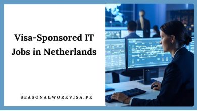 Visa-Sponsored IT Jobs in Netherlands