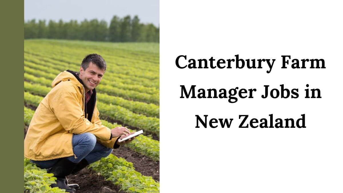 Canterbury Farm Manager Jobs in New Zealand 2025 - Apply Now 1 Canterbury Farm Manager Jobs in New Zealand