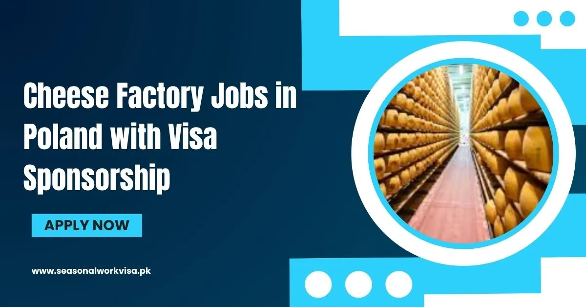 Cheese Factory Jobs in Poland with Visa Sponsorship 1 Cheese Factory Jobs in Poland