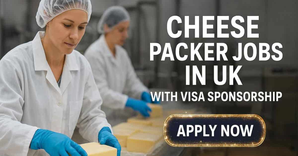 Cheese Packer Jobs in UK with Visa Sponsorship 2025 7 Cheese Packer Jobs in UK with Visa Sponsorship