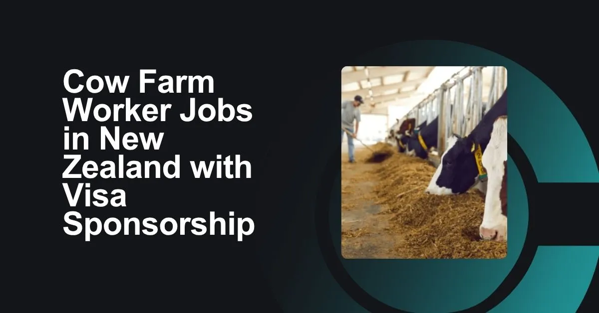 Cow Farm Worker Jobs in New Zealand with Visa Sponsorship 1 Cow Farm Worker Jobs in New Zealand
