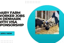 Dairy Farm Worker Jobs in Denmark