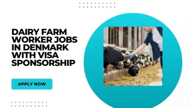 Dairy Farm Worker Jobs in Denmark