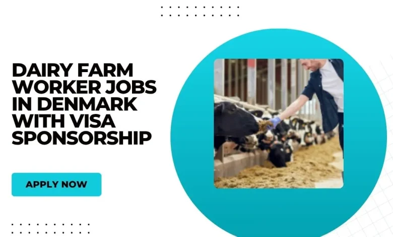 Dairy Farm Worker Jobs in Denmark