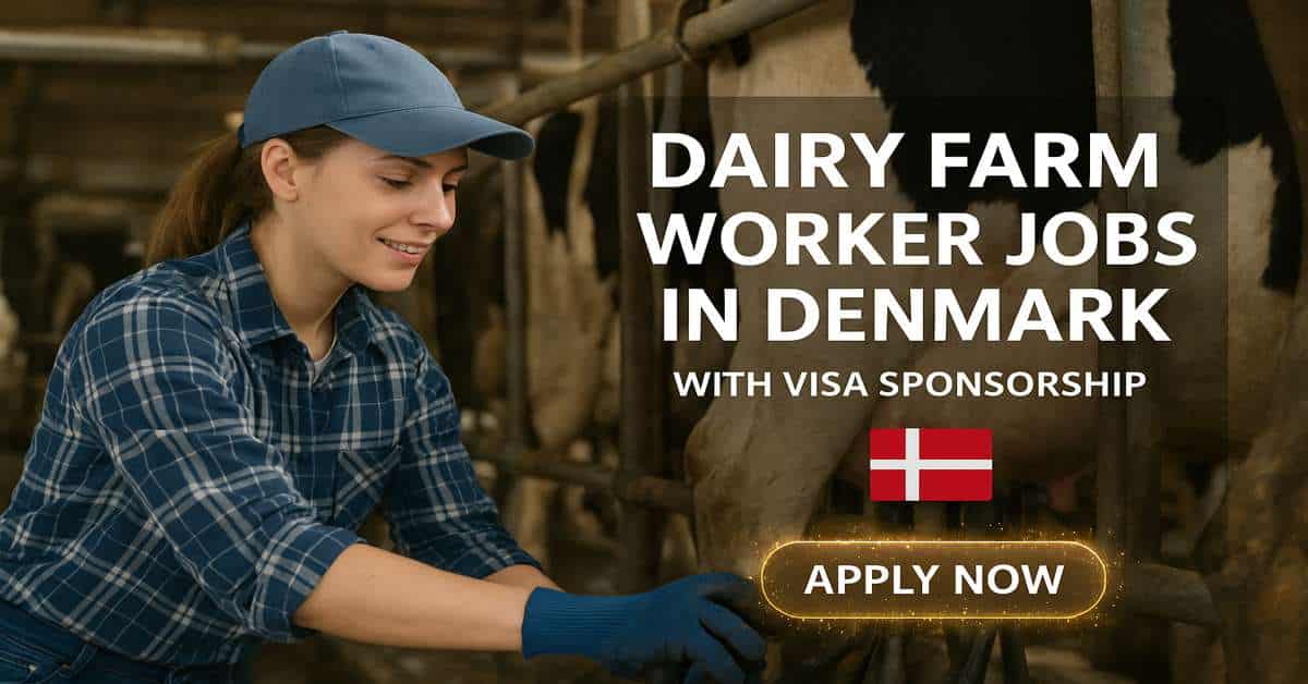 Dairy Farm Worker Jobs in Denmark with Visa Sponsorship 1 Dairy Farm Worker Jobs in Denmark with Visa Sponsorship