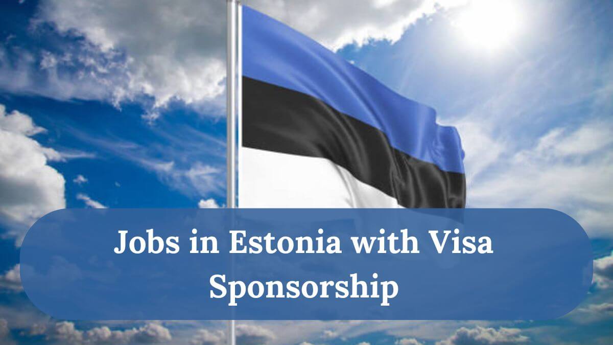 Top Jobs in Estonia with Visa Sponsorship for Foreigners 2025 - Apply Now 2 Jobs in Estonia with Visa Sponsorship