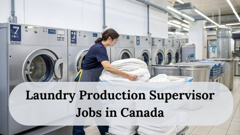 Visa Sponsorship Laundry Production Supervisor Jobs in Canada 2025 - Apply Now 2 Laundry Production Supervisor Jobs in Canada