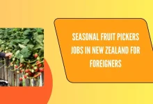 Seasonal Fruit Pickers Jobs in New Zealand