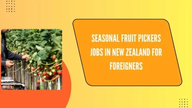 Seasonal Fruit Pickers Jobs in New Zealand
