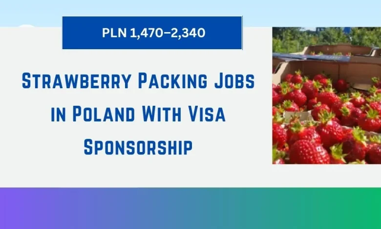 Strawberry Packing Jobs in Poland