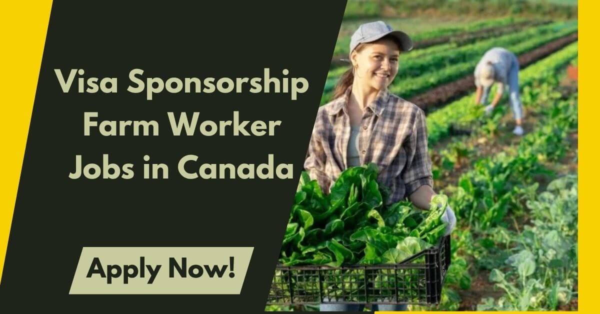 Visa Sponsorship Farm Worker Jobs in Canada 2026 - 20$ Hourly 1 Visa Sponsorship Farm Worker Jobs in Canada