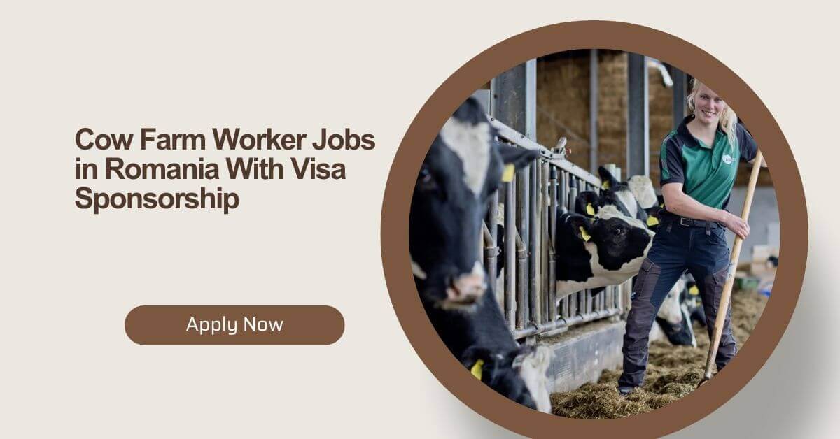 Cow Farm Worker Jobs in Romania With Visa Sponsorship