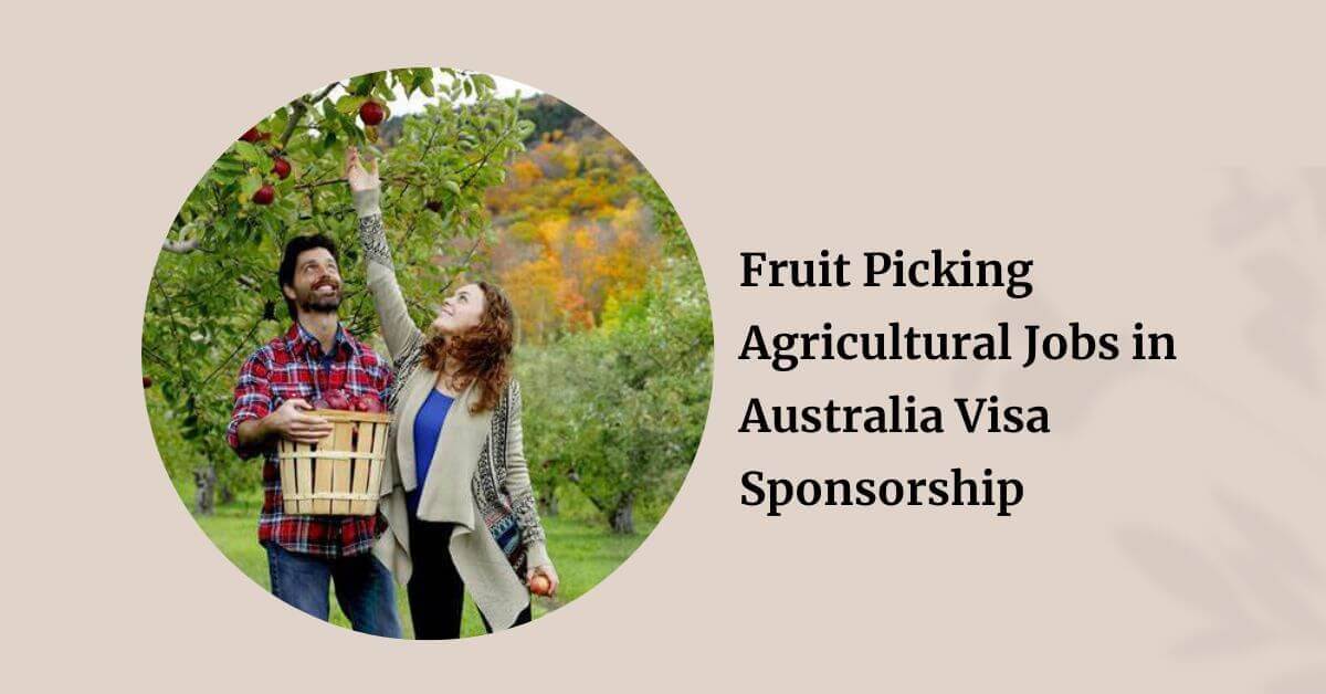 Fruit Picking Agricultural Jobs in Australia Visa Sponsorship 1 Fruit Picking Agricultural Jobs in Australia Visa Sponsorship