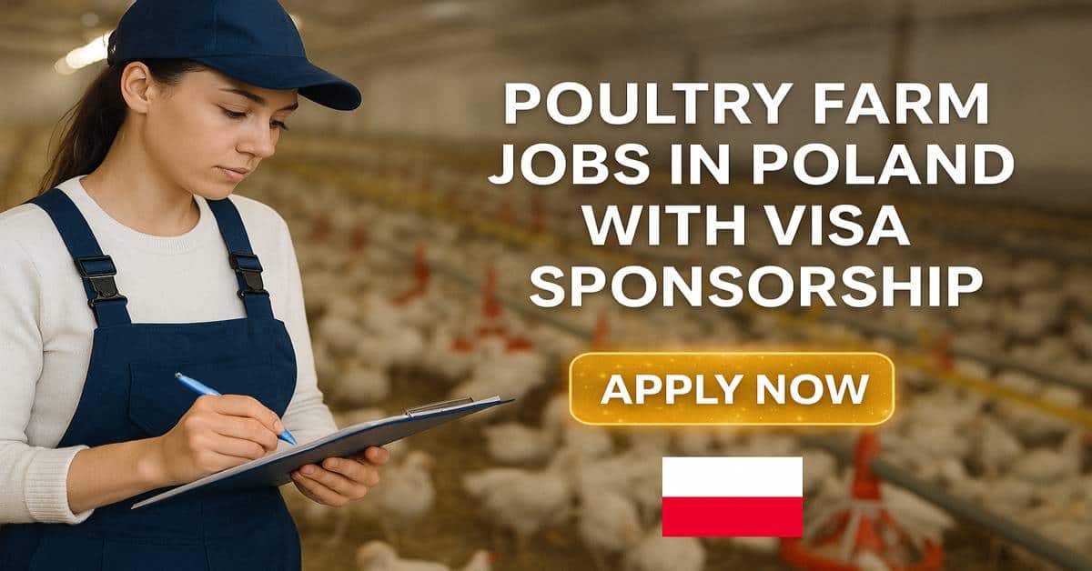 Poultry Farm Jobs in Poland With Visa Sponsorship 2025 1 Poultry Farm Jobs in Poland With Visa Sponsorship