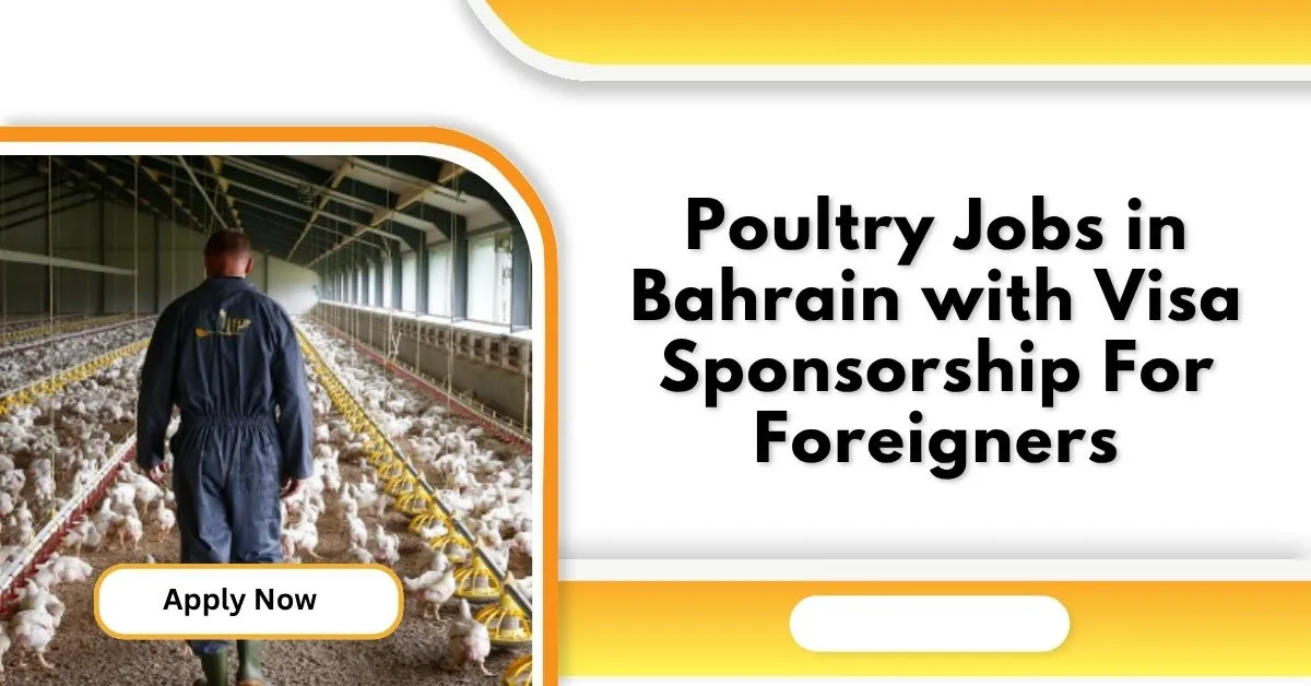 Poultry Jobs in Bahrain with Visa Sponsorship For Foreigners 1 Poultry Jobs in Bahrain