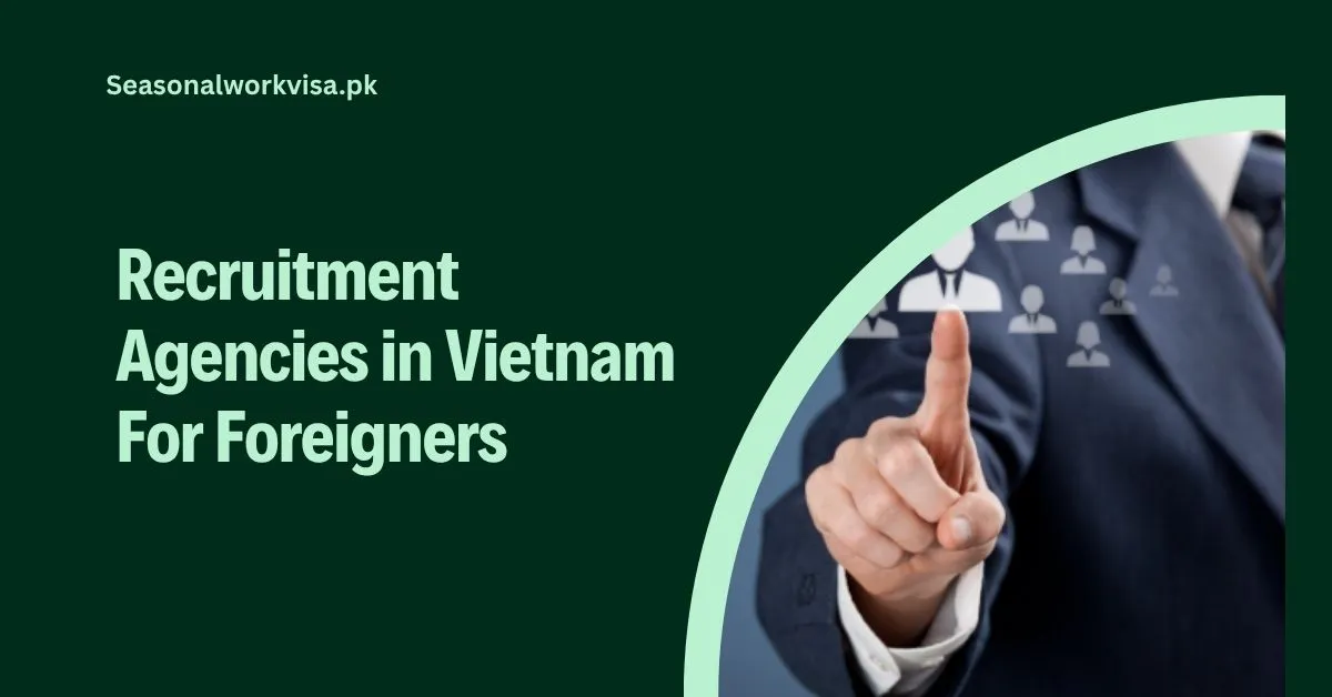Recruitment Agencies in Vietnam For Foreigners 2025 1 Recruitment Agencies in Vietnam