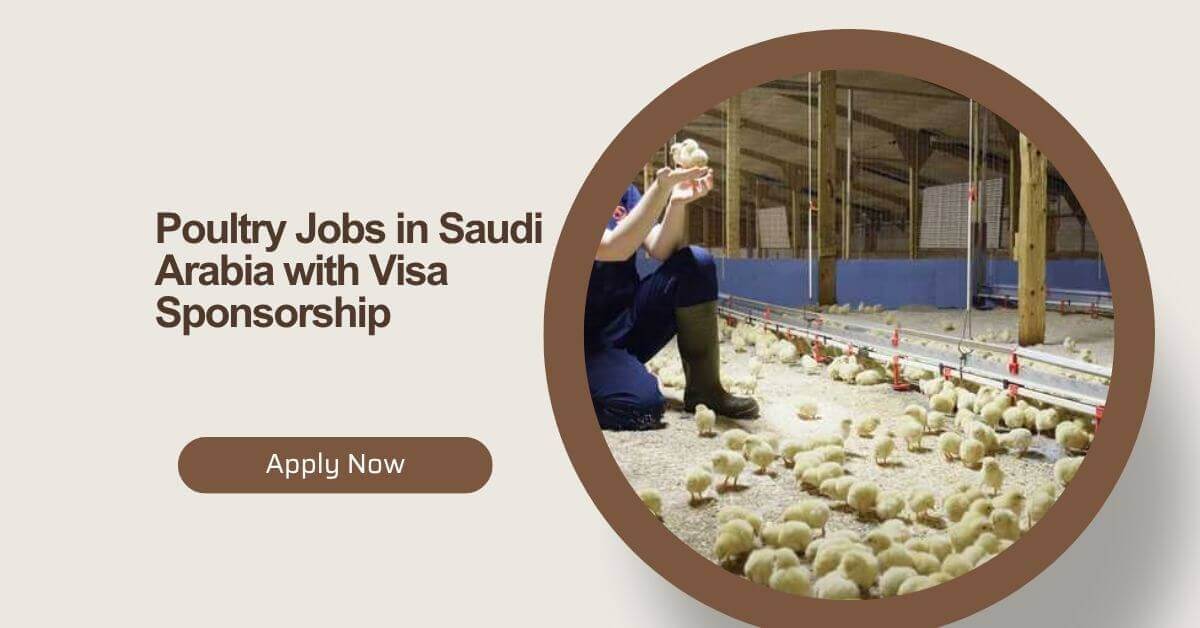 Poultry Jobs in Saudi Arabia with Visa Sponsorship 1 Poultry Jobs in Saudi Arabia with Visa Sponsorship