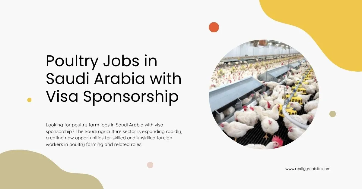 Poultry Jobs in Saudi Arabia with Visa Sponsorship 1 Poultry Jobs in Saudi Arabia